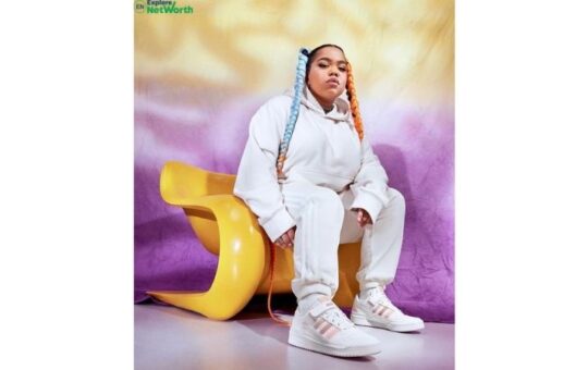 beauty explore net worth