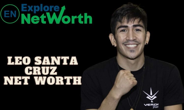 Leo Santa Cruz Net Worth