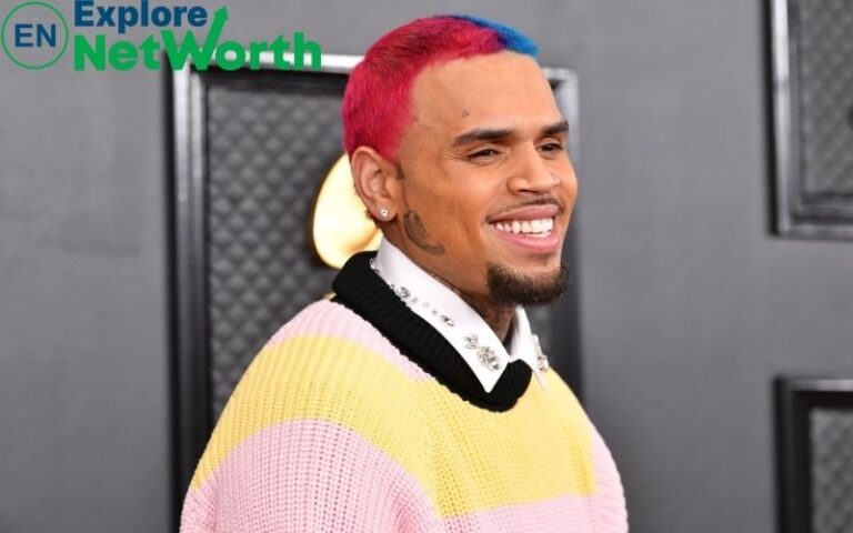 Chris Brown Net Worth,Salary, Source of Income, Biography, Age, Parents, Girlfriend & Children,Photos & More