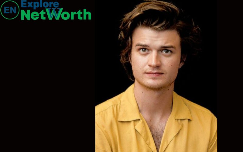 Joe Keery Net Worth, Biography, Wiki, Age, Parents, Wife, Height, Nationality & More