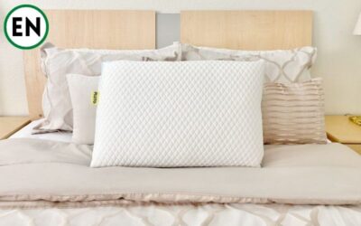 Pluto Pillow Net Worth 2022, Founders, What Happened After Shark Tank?