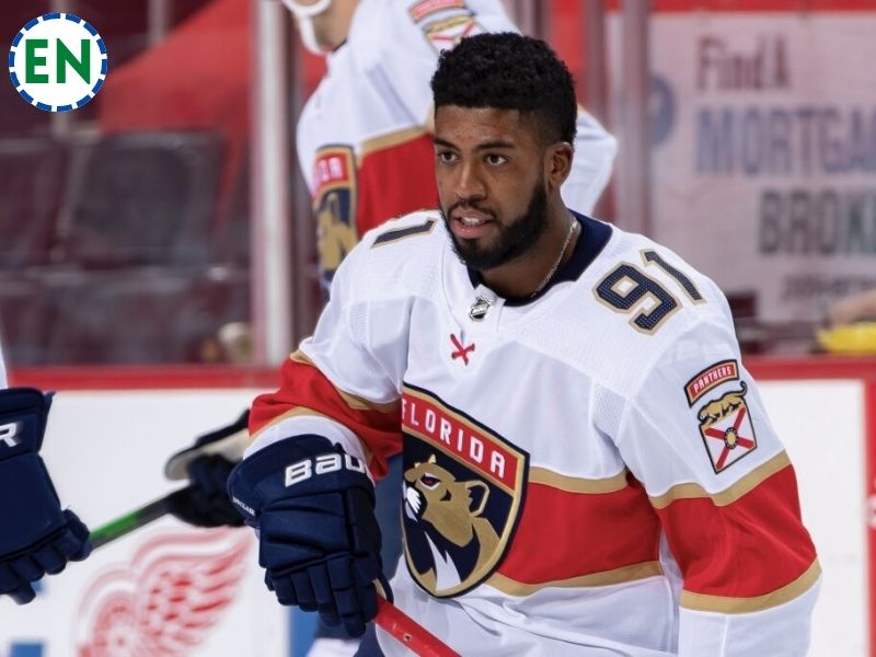 Anthony Duclair Net Worth, Wiki, Bio, Age, Parents, Wife & More