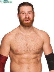 Sami Zayn Net Worth 2023, Salary, Source Of Income, Early Life, Career