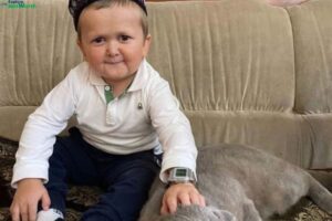 Hasbulla Net Worth 2023, Wealth, Early Life, Personal Life