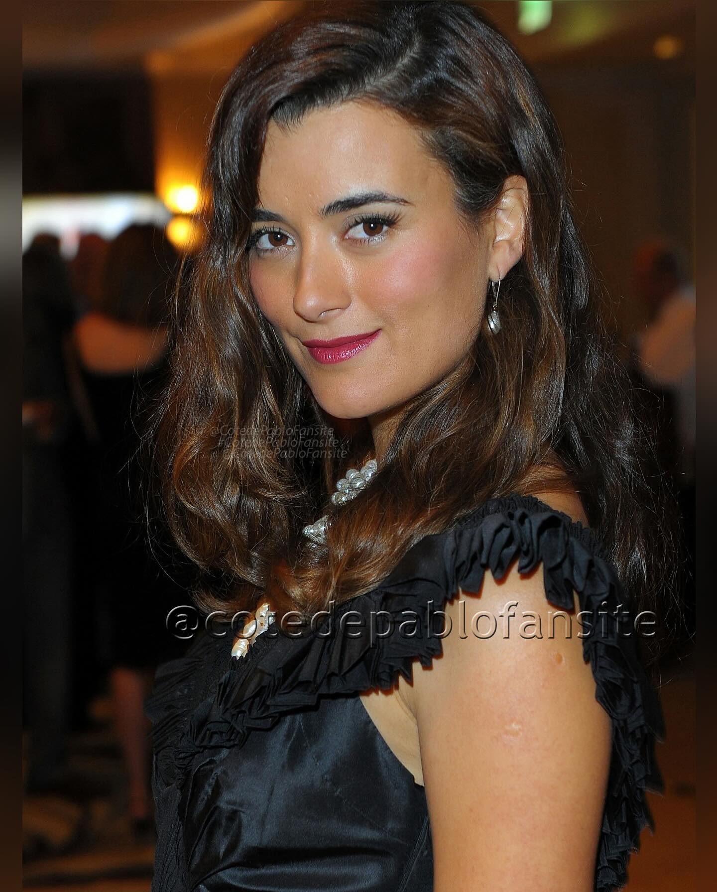 Does Cote De Pablo Married? Full Biography 2024 6 image 767216