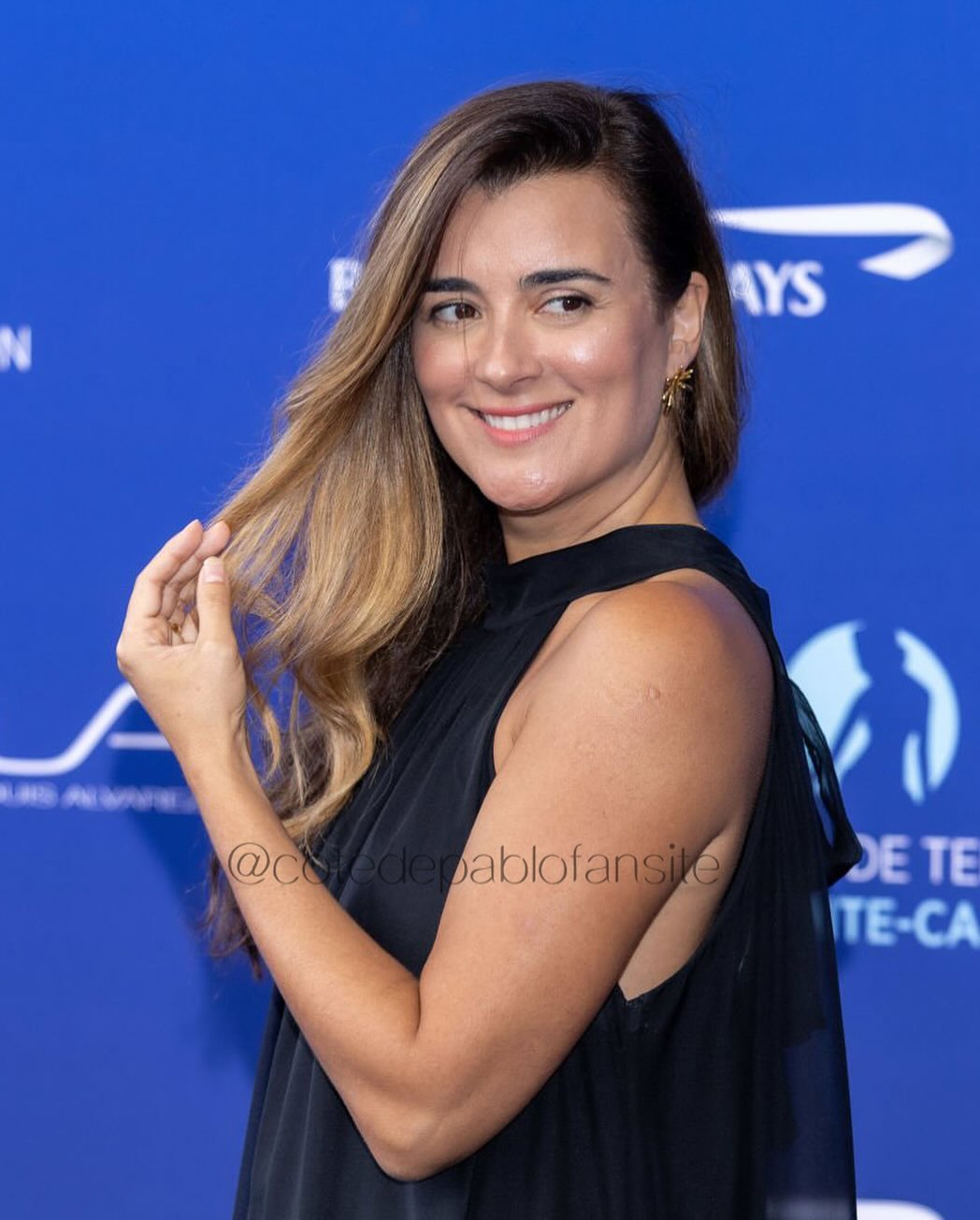 Does Cote De Pablo Married? Full Biography 2024 4 image 8172892