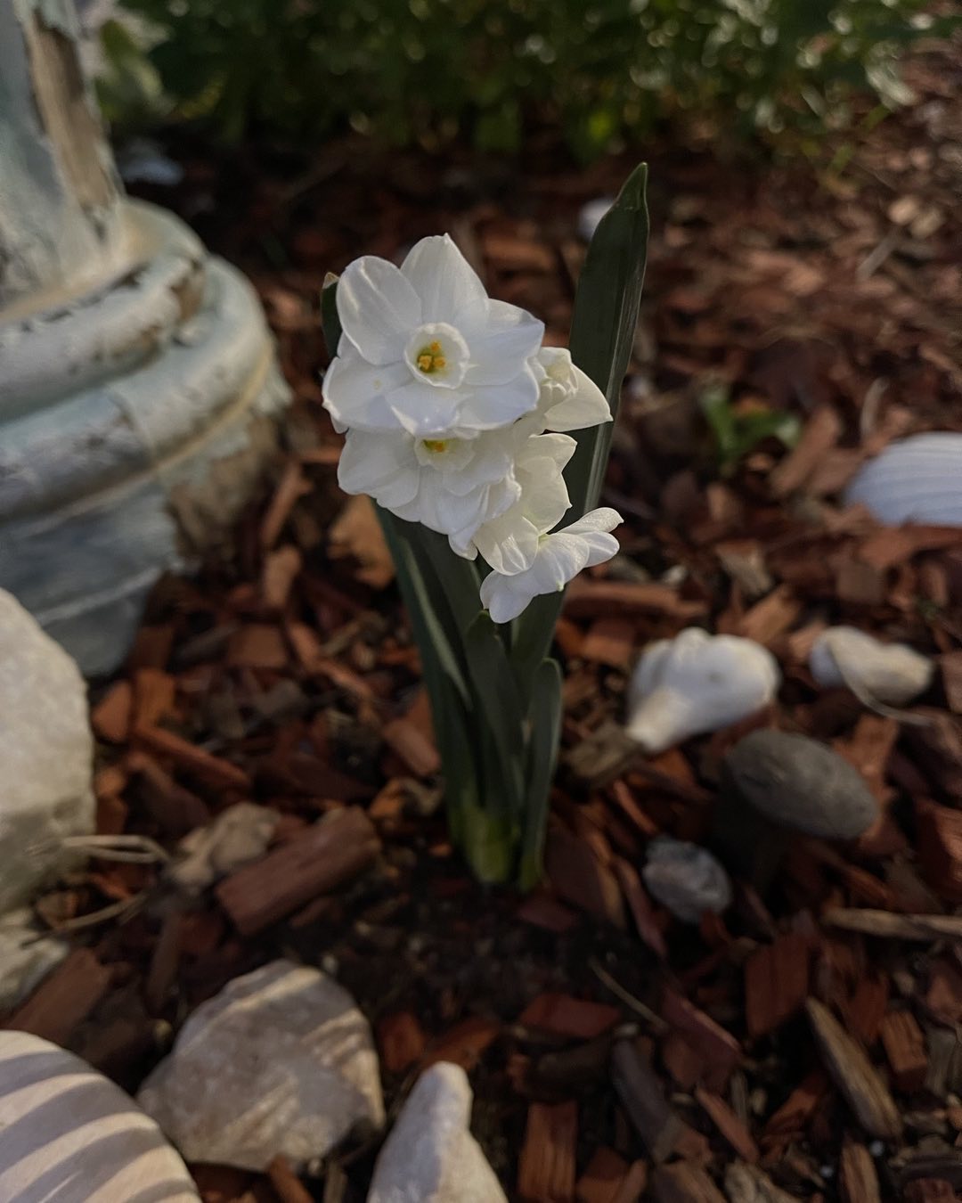 Fairuza Balk Married? Uncover the Truth