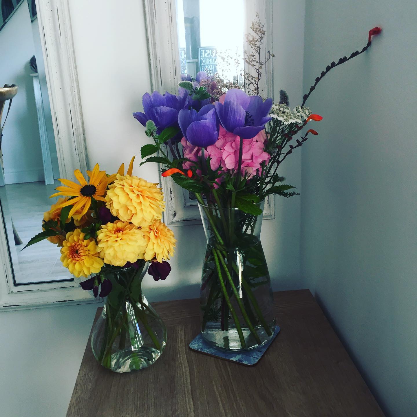 Fiona Dolman Net Worth 2024: Surprising Wealth Revealed!