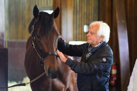 Jill Baffert Age: Learn Her Real Age In 2024 - Explore Net Worth