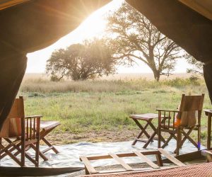 HOW CAMP LOCATION CAN MAKE OR BREAK YOUR SERENGETI SAFARI EXPERIENCE 1 2