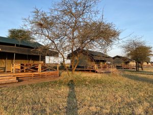 HOW CAMP LOCATION CAN MAKE OR BREAK YOUR SERENGETI SAFARI EXPERIENCE 2 3